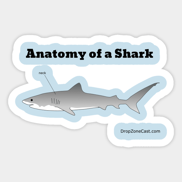 Anatomy of a Shark Sticker by dege13